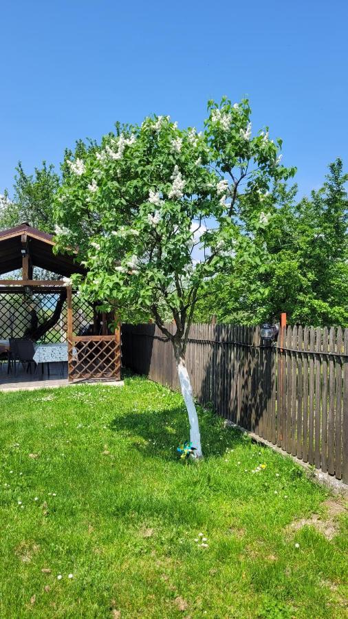 Casa Dana Villa Rîşnov Luaran gambar