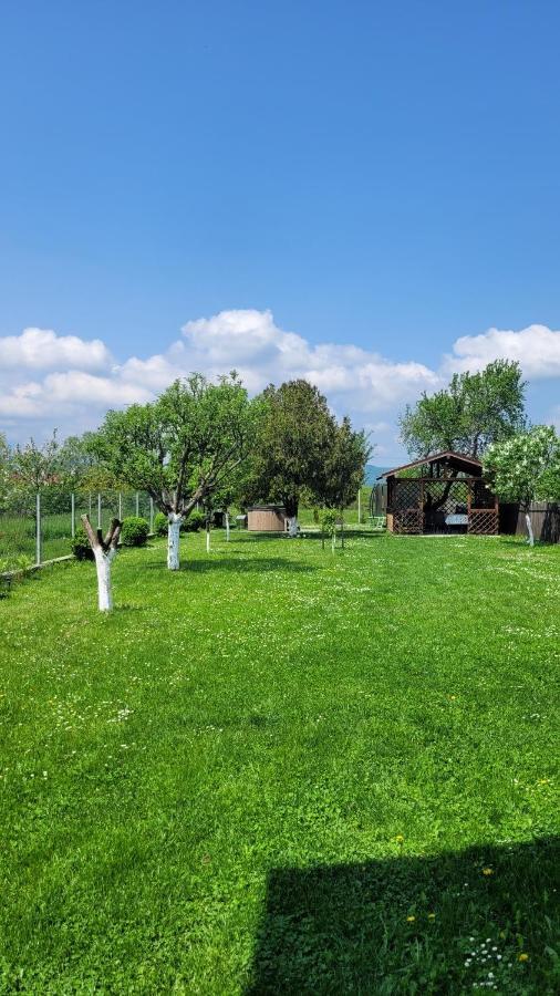 Casa Dana Villa Rîşnov Luaran gambar